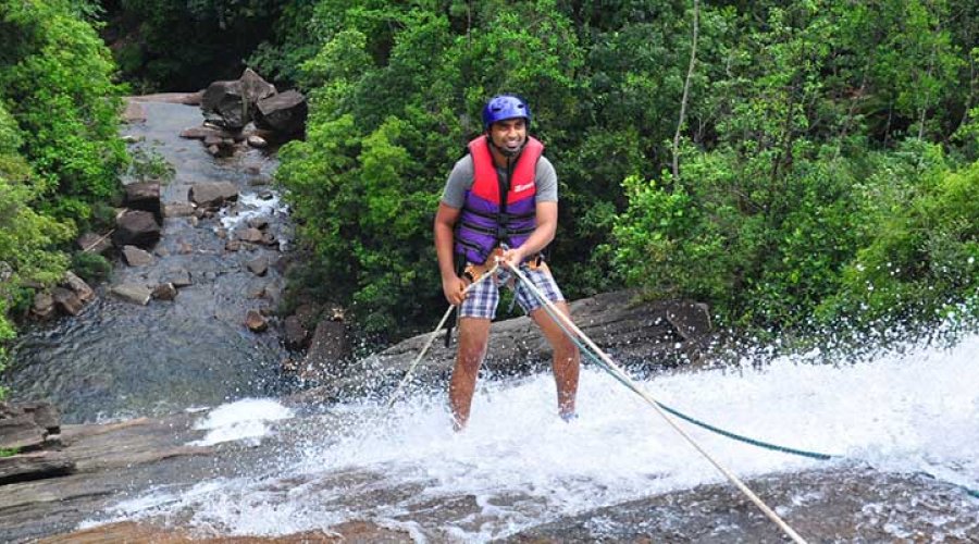 rainforest adventure